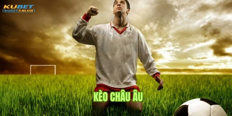 Những câu hỏi thường gặp