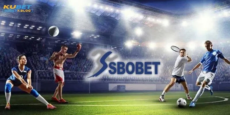 Tổng quan về Sbobet Kubet